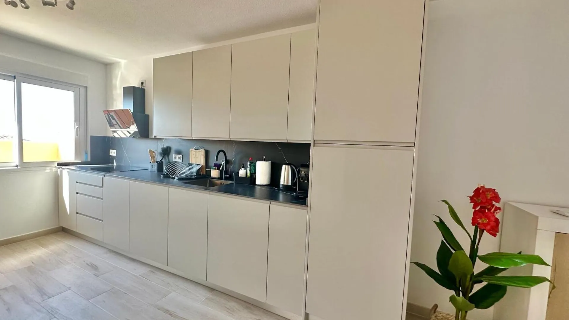 New Beachside Apartment Sitio de Calahonda Spain